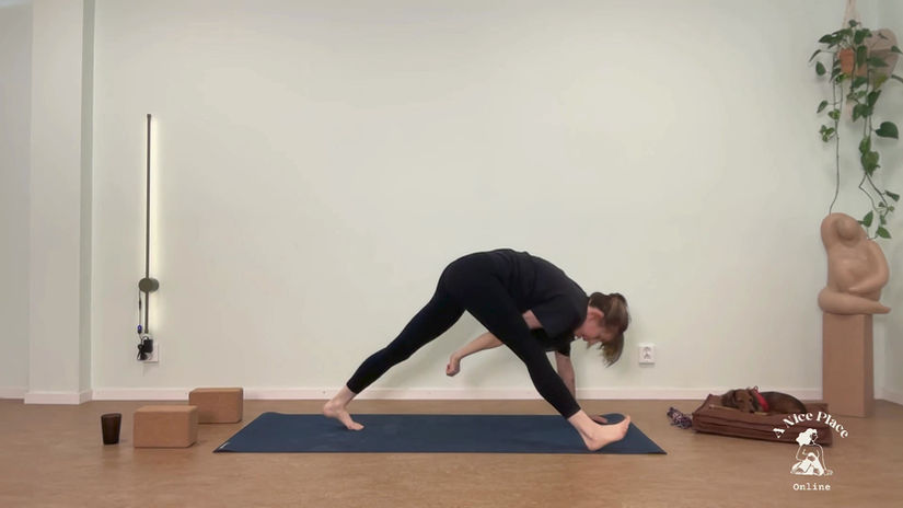 Steady + quick vinyasa snack